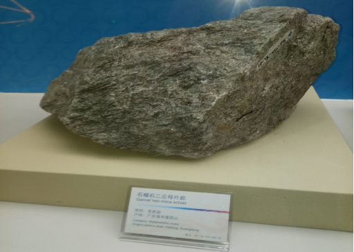 中宝体育