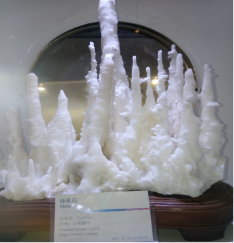 中宝体育