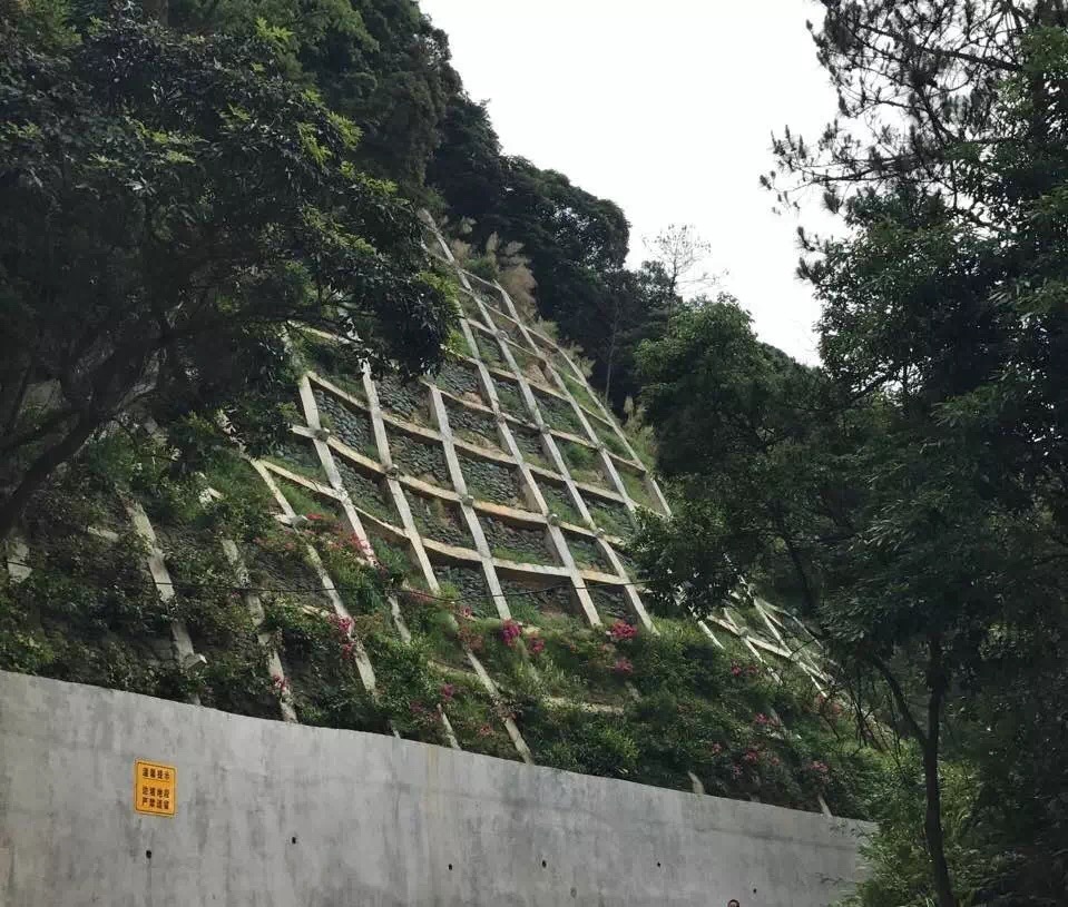 中宝体育