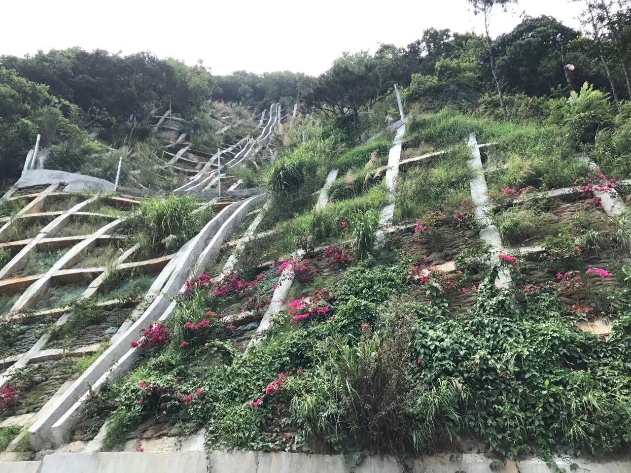中宝体育